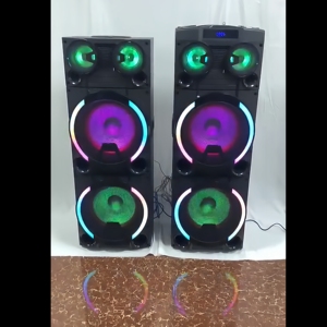 Temeisheng Mới Bằng Gỗ Làm Loa Di Động Đôi 10 Inch Với Loa tweeter <span class=keywords><strong>Bluetooth</strong></span> Đảng Loa Không Dây Với Đèn LED Ánh Sáng - Product Image 1