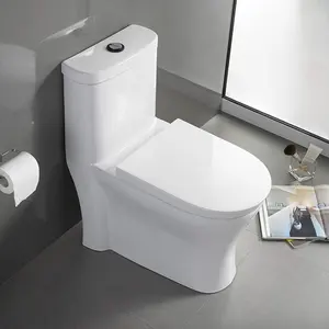 सस्ते कीमत वस्तु कमोड कम लागत सेनेटरी वेयर बाथरूम कटोरा ब्रांड फ्लश टैंक पानी कोठरी जर्मन Oem शौचालय