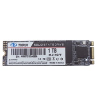 SSD Internal Txrui Brand M.2 Ngff SATA 1TB 2280 2242 Baru 3D NAND TLC untuk Laptop dan Desktop