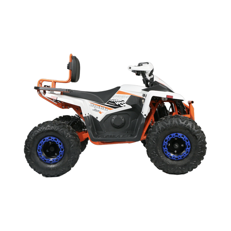 110cc Adults 2WD Switchable Four Wheel