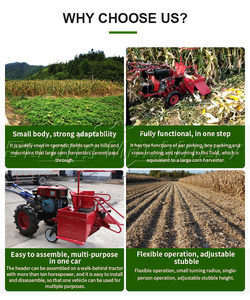 Factory Sell Small Sweet Corn Harvester Best Selling Corn Harvesters Tractor Mounted Mini Corn Harvesting - Product Image 4