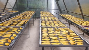 Rodajas de Mango Seco con Sal de Chile Vietnamita Únicas |   Snacks de Mango Deshidratado, Picantes y Suaves |   Sabor Dulce, Sabroso y Ácido 100g/200g - Product Image 4