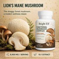 Capsules de champignons fonctionnelles pour la défense immunitaire, l'équilibre du stress et le soutien de l'endurance chez les adultes – Approvisionnement OEM en vrac