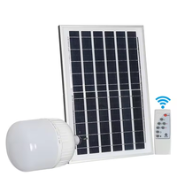 Ampoules LED solaires portables, éclairage d'urgence pour le camping en plein air, ampoules LED solaires avec télécommande