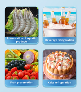 Paquetes de Hielo Seco de Larga Duración para Envíos de Productos Perecederos - Product Image 6