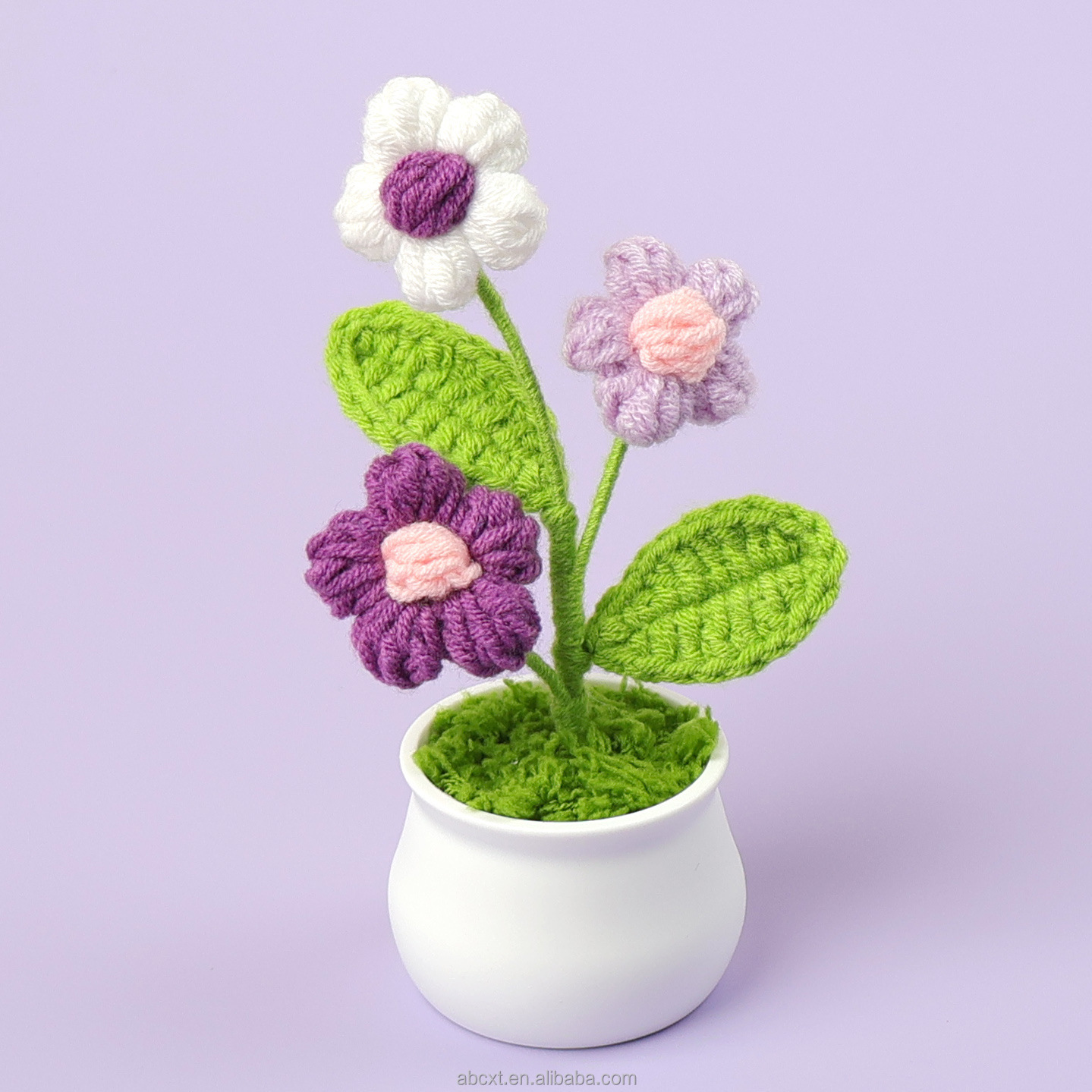 Pourpre