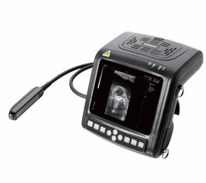 Échographe vétérinaire Kaixin Brand KX5200V de haute qualité et à bon prix, avec moniteur de 5,7 pouces pour usage vétérinaire. - Product Image 1