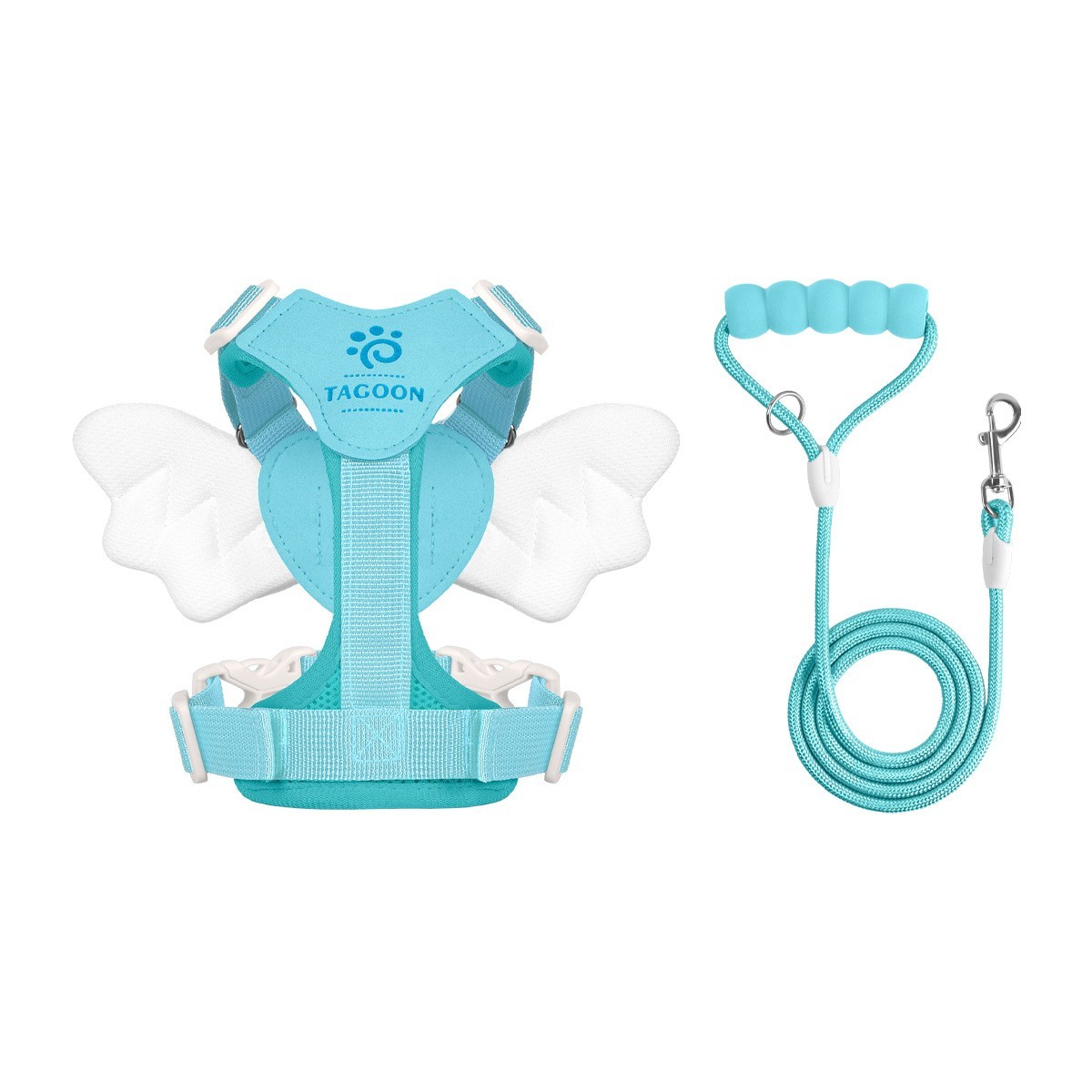Ensemble de laisse bleue