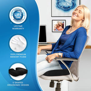 aldi lumbar support cushion
