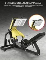Dinuo 45 °   Machine à presse sur les jambes et à squats Hack, à charge par plaques, avec plateau de repose-pieds en acier inoxydable, pour fessiers et quadriceps