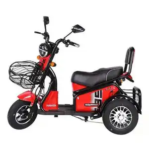 Sepeda Motor Skuter Listrik 650W 60V, Sepeda Roda Tiga Elektrik Disetujui Ce dengan Baterai Ion Lithium