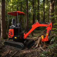 Mini-excavatrice sur chenilles SHANBO 29KW avec pompe hydraulique et boîte de vitesses, moteur Laidong, godet de 0,036 m³ et forte puissance de creusement