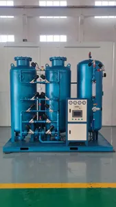 PSA Nitrogen Generator On Site Nitrogen Plant Oxygen Nitrogen Making Machine For Industry