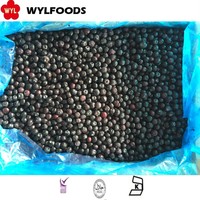 Persediaan jumlah besar Premium Blueberry IQF manis alami untuk pabrik dan grosir