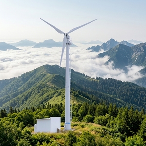 กังหันลมแนวนอนเสริมพลังงานแสงอาทิตย์ 5KW ถึง 20KW สำหรับโครงการตรวจสอบโรงงานขนาดใหญ่ รุ่น Horizontal-5KW ความเร็วลมสูง - Product Image 3