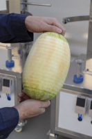 Mesin pengupas Melon Cantaloupe, mesin pengupas listrik Apple Lemon buah Jack, mesin pengupas nanas