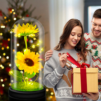 2024 vente chaude produit créatif saint valentin cadeau fleur artificielle verre dôme ornement lueur Rose dôme personnaliser idées cadeaux
