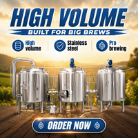 Système de Fermentation de Bière Automatique 5bbl 1000L pour Restaurants en Chine avec Longue Durée de Vie Utile