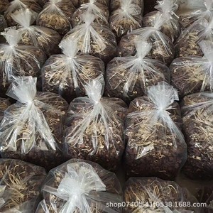 <span class=keywords><strong>Champignons</strong></span> d'Arbre à Thé Séchés Sans Racines de Qualité Supérieure - Agrocybe Aegerita à Capuchon Fermé Sans Racines - Product Image 2