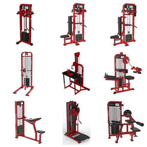 Máy tập thể hình chuyên nghiệp, máy tập tạ tay kiểu pin, thiết bị tập luyện thể hình - Product Image 1