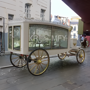 Carro funerario eléctrico de doble propósito con ataúd de hielo, suministros funerarios, coche fúnebre tirado por caballos, furgoneta de servicios funerarios - Product Image 1
