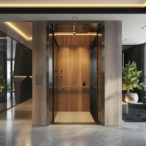 Modern Design Passenger <b>Elevator</b> with Gearless Traction Machine for Hotel & Mall Use High Capacity Stainless Steel - Product Image 2