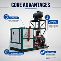 Chaudière horizontale à huile chaude YWDR-72kw pour l'impression, la teinture, le séchage des placages et le chauffage des matières premières cosmétiques