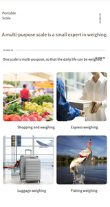 पोर्टेबल इलेक्ट्रॉनिक पैमाने पर उच्च परिशुद्धता मिनी सामान और भोजन का वजन 50 किलोग्राम क्षमता हैंड बैटरी संचालित स्प्रिंग स्केल - Product Image 6
