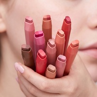 Crayon à lèvres mat longue tenue ultra pigmenté, texture lisse, personnalisable avec logo, végétalien, pour la vente en gros