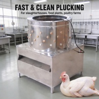 Machine à épiler la volaille en acier pour l'abattage et le nettoyage en abattoir, certifiée CE, capacité 10 poulets, avec moteur électrique