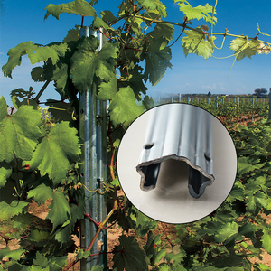 Poteau de vigne en forme de U, épaisseur 2,5 mm, longueur 2,7 m, robuste, galvanisé, pour verger - Product Image 6