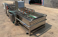 Automatische Groentewasmachine Drooglijn Fruit En Groente Bubbel Reinigingsmachine Wasmachines