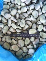 Vente chaude, bon prix, haute qualité, provenant d'une usine chinoise, légumes IQF, aliments frais, haricots verts surgelés IQF pour la vente en gros et au détail