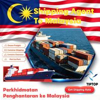 Agente de envío Malasia Mar Envío Penang Puerto Agente Envío Flete Empresa de carga Transporte especial