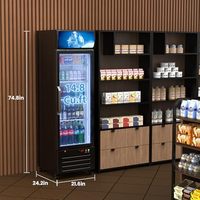 Réfrigérateur commercial vertical avec porte vitrée de 14,8 pi3, éclairage LED frontal, présentoir de boissons, réfrigérateur pour magasin commercial