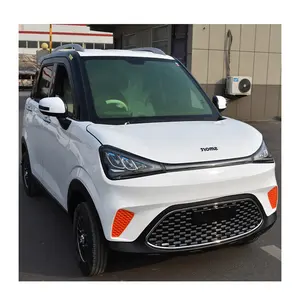 Verified Car Suppliers Only Small 5 Doors Electric Mini Auto EV Car for Sale