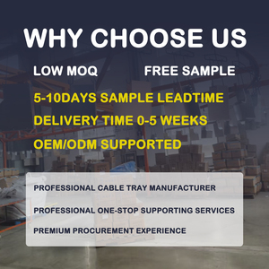 Canalina Portacavi Zincata con Fondo Ondulato - Antipolvere per Cablaggio in Camera Bianca di Fabbriche Elettroniche - Product Image 6