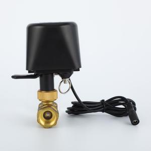 Brass Internal Thread Connection Stainless Steel Two-Way Solenoid <b>Valve</b> Switch Type Proportional Integral <b>Valve</b> <b>Control</b> <b>Valves</b> - Product Image 3