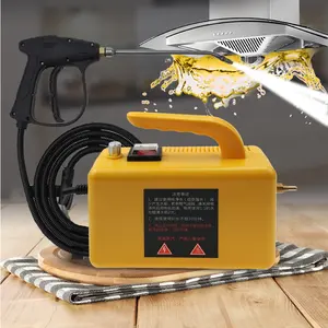 110V 220V 2600W Elektrischer Haushalts dampf reiniger 2600W Tragbarer Hand dampfer Auto Küchen bürsten reinigungs maschine