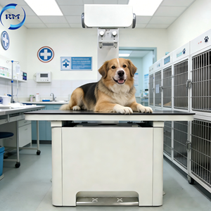 Appareil de radiographie vétérinaire 32 kW avec tube de rayonnement X et détecteur à panneau plat pour hôpitaux et cliniques vétérinaires (grands chiens) - Product Image 1