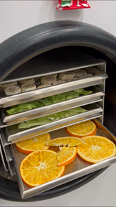 Liofilizador TUOCHEN <span class=keywords><strong>de</strong></span> 10 <span class=keywords><strong>kg</strong></span>, 12 <span class=keywords><strong>kg</strong></span>, 14 <span class=keywords><strong>kg</strong></span> para Uso Doméstico, Máquina <span class=keywords><strong>Secadora</strong></span> por Congelación Pequeña para Dulces, Carne, Frutas, Alimentos y Vegetales, Australia - Product Image 3