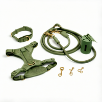 Ensemble de harnais pour chien en cuir suédé OEM ODM avec quincaillerie dorée, harnais rembourré, collier, laisse et porte-sac à excréments pour chiens de petite et moyenne taille