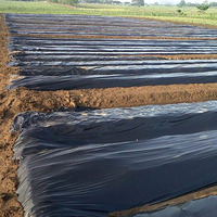 Film de paillage agricole très demandé pour l'agriculture