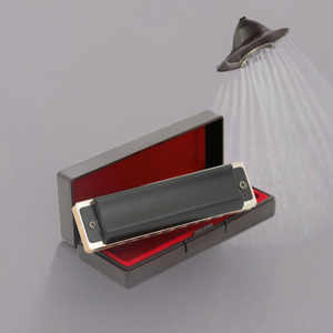 Harmonica diatonique à 10 trous en Do, Blues Harmonica, KS-1003, acier inoxydable, pour débutant/professionnel - Product Image 3