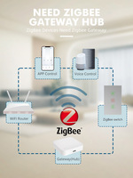 Smartdust EU UK 1Way Touch Control Panneau en verre trempé Smart Home Rideau Switch ZigBee WIFI pour Tuya Ewelink10A Max. Current