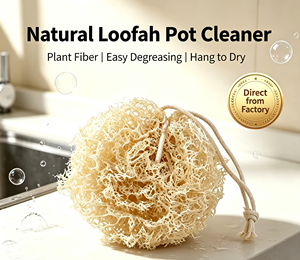 Esponja de Cocina de Fibra Vegetal Biodegradable, Bola de Luffa Orgánica Natural para Lavar Platos, No Daña, Segura para Sartenes Antiadherentes - Product Image 6