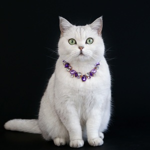Gran oferta collar de lujo para mascotas nuevo diseño piedra preciosa cristal diamante completo princesa lágrima Metal collares para mascotas - Product Image 2