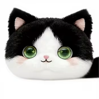 Poupée en peluche éducative précoce AI avec yeux changeants d'expression, jouet interactif pour enfants