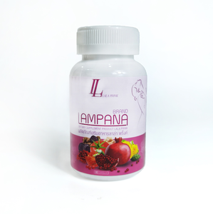 Lampana, suplemento de salud vegetariana para adultos para mujeres, cápsulas de raíz de Kudzu, hierbas naturales que promueven el equilibrio hormonal, 30 pastillas por botella - Product Image 6