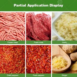 Molino de Carne Industrial Italiano para Pollo Congelado con Hueso - Máquina Picadora de Carne - Precio - Product Image 6